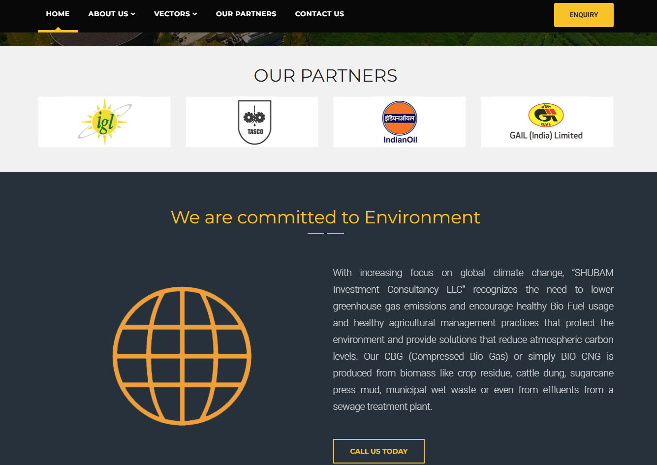 Diversified Business & Investment Consultancy Website Development — screenshot 1