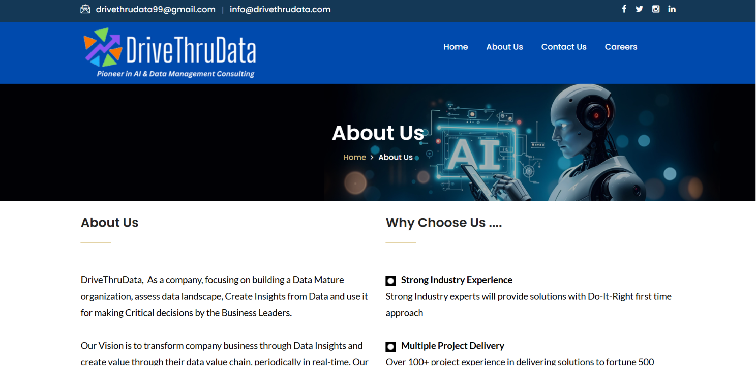 Data Management & Business Solutions Website — screenshot 2