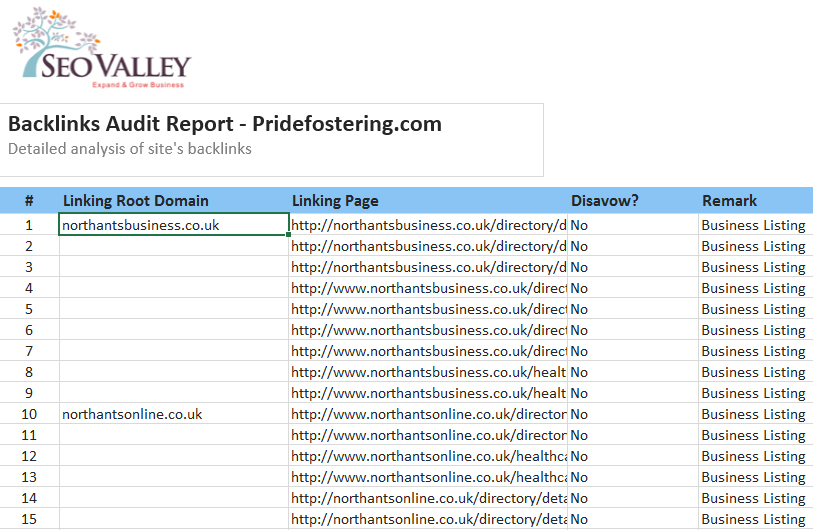 SEO Project Showcase | Local SEO & Organic Growth — report 2