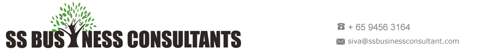 SS Business Consultant